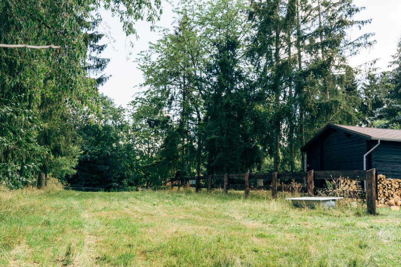 Wunderschoenes Chalet Mit Gaestehaus In Der Natur Mit Fass-Sauna Sangerhausen Eksteriør bilde